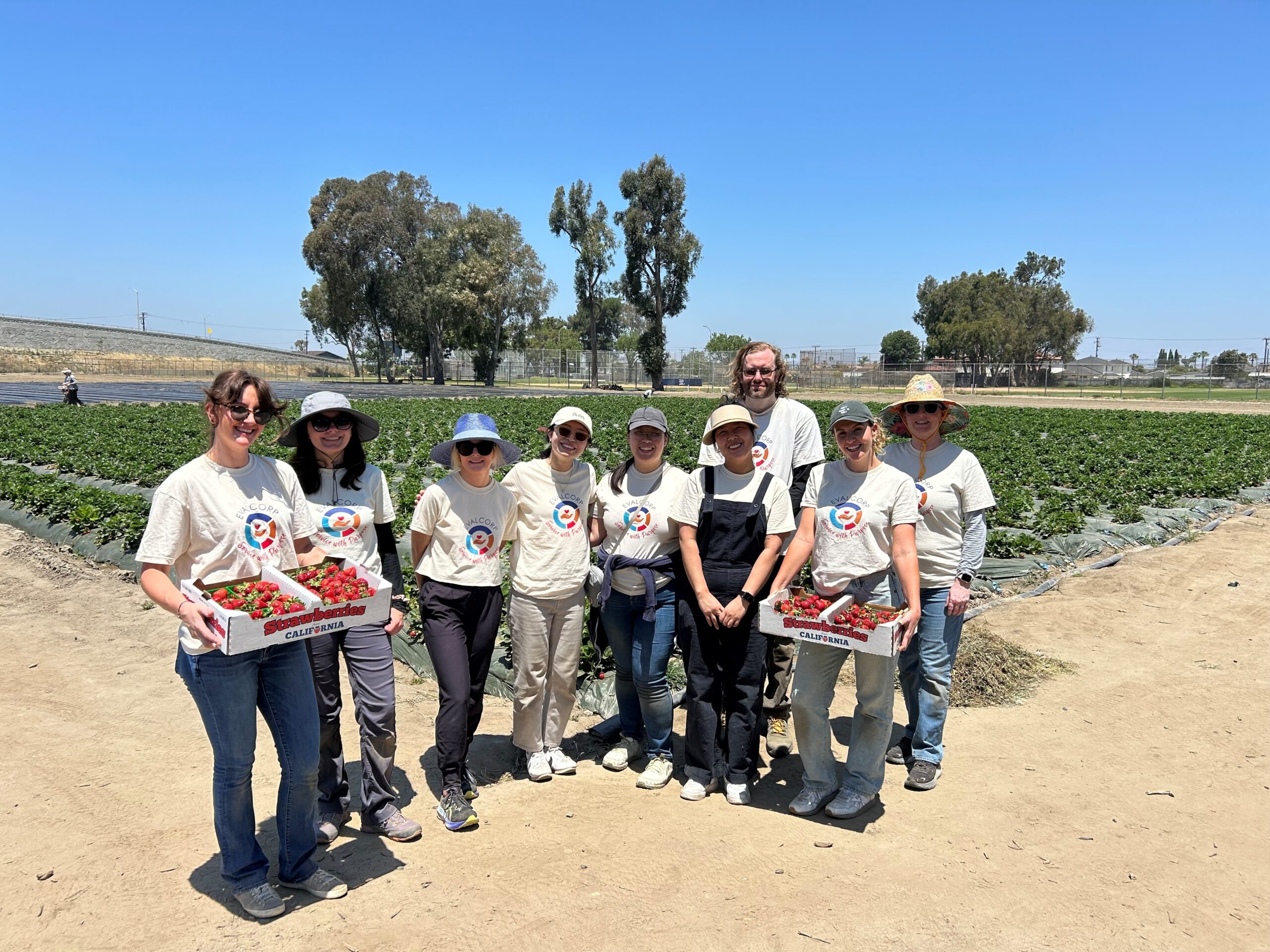 Team members smile in front of the strawberry fields, holding cartons of strawberries