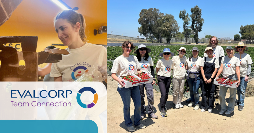 EVALCORP Team Connection-collage of volunteers