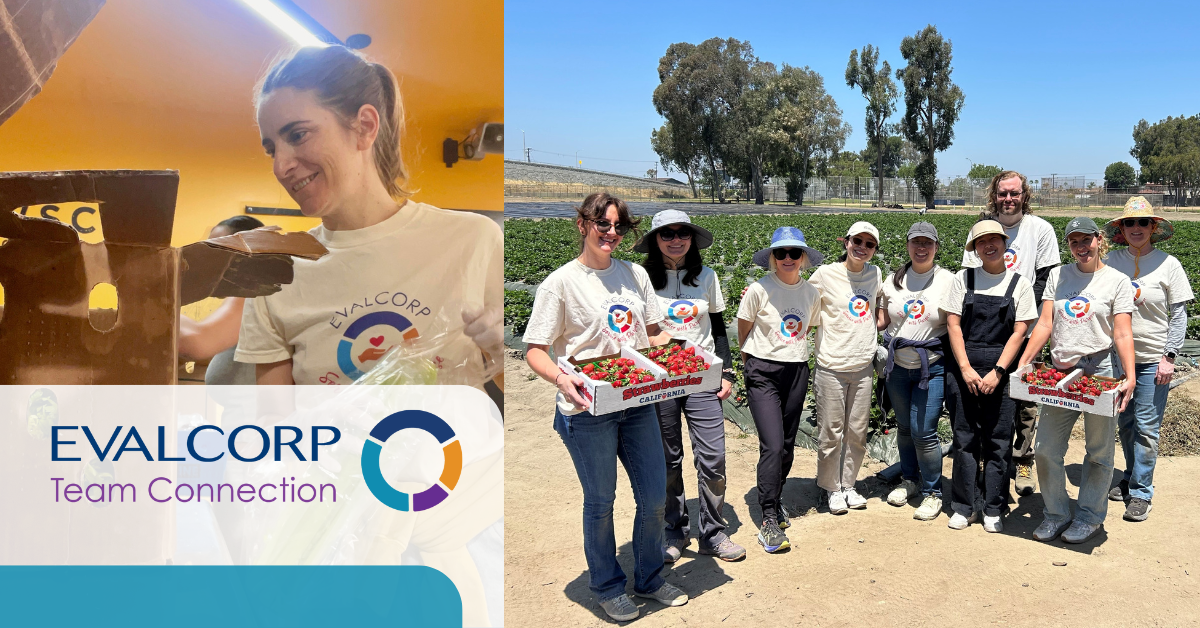 EVALCORP Team Connection-collage of volunteers