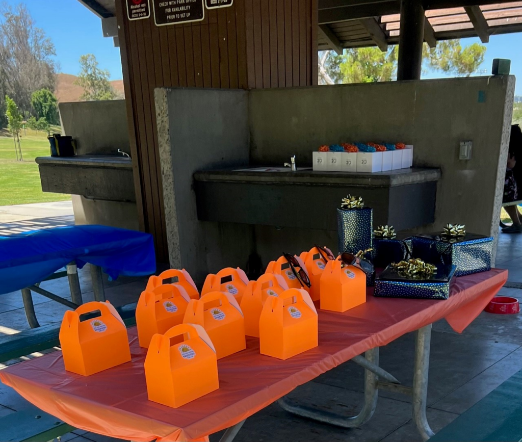 company picnic lunch table